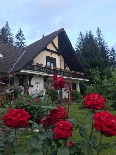 Complex Vile- Milana M Residence - Poiana Brasov - 9