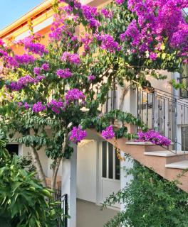 Apartmani Ružica - Zastražišće - 5