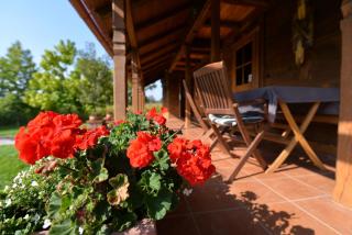 Old Oak House with pool - Maruševec - 2