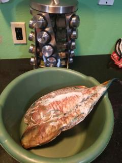 CASTLE VIEW VILLA - 7