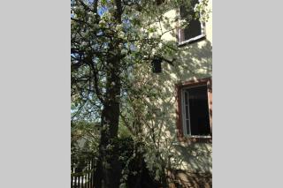 Liebevolles, altes Schulhaus im Vintage Stil - 8