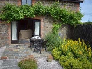 Downe Cottages - Hartland - 8