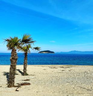 Kavala Beach Hotel apartments - Iraklitsa - 5