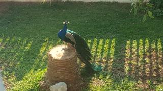 Per Mare - Loutra Oraias Elenis - 9