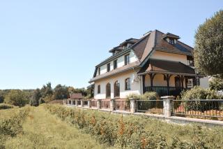 Quo Vadis Lounge Bed & Breakfast - 3