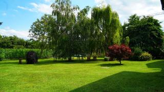 Bed & Breakfast Milù - Cuneo - 8