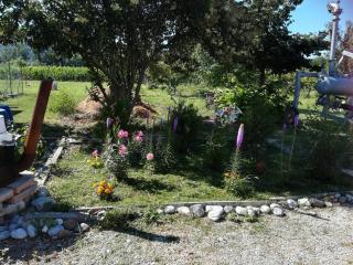 AL MORAR - 7