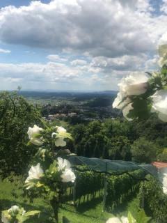 Kuća za odmor Magdalena&V - Krapina - 2