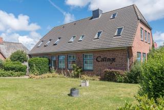 Cottage am Watt - Nebel - 0