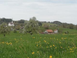Billenberghof - St. Gallen - 4