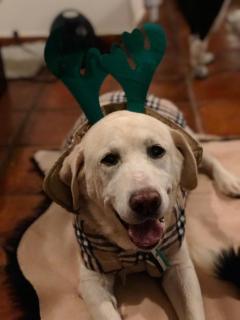 Casa Rural La Picota - 0