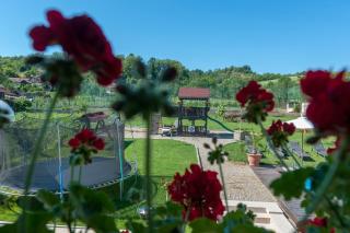 Pensiunea Gabriel - 1