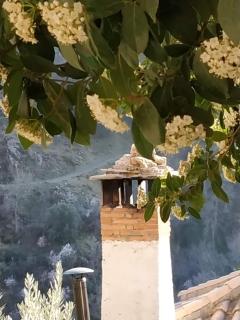 Cortijo La Solana - 8