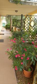 Hotel Casa Popi - Malcesine - 6