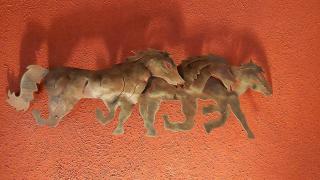 Posada Yolihuani - 6