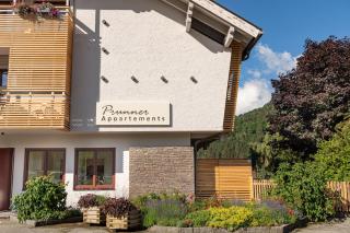 Appartements Prunner - Gmünd in Kärnten - 8