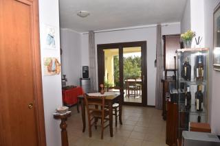 Palmas Dorada Home - 9