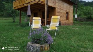 Taramour Cottages. - Mojkovac - 9