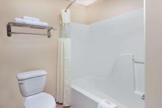 Baymont by Wyndham Bowling Green - Bowling Green - 6