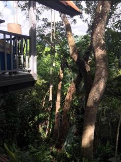 Mossman Gorge Bed and Breakfast - Mossman - 6