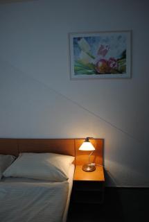 Hotel Allvet - Drnovice - 9