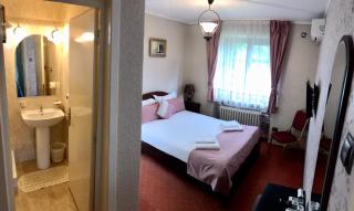 Pension Hotel Fast - Rădăuţi - 6