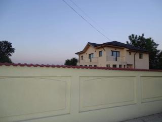 Vila NICHOLAS - Bărcăneşti - 3