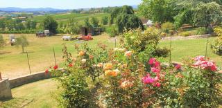 Casina di Pacina - Abbadia di Montepulciano - 4