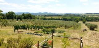 Casina di Pacina - Abbadia di Montepulciano - 5