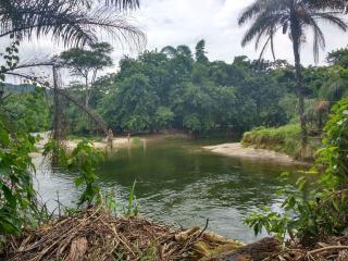 Rios Cristalinos em Guapiaçu - Cachoeiras de Macacu - 0