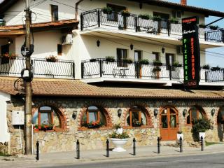 Pensiunea SanMartin - Sînmartin - 9