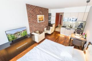 Albertov Rental Apartments - 9