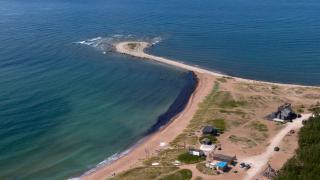 Paradise Beach Surf Bungalow Medium - 7