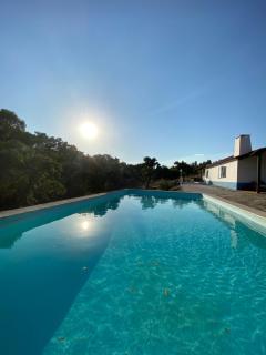 Monte das Pedras - Avis - Avis - 9