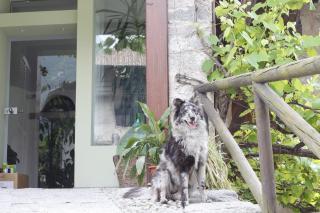 B&B Casa Gori - 9