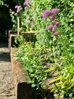 The White Horse Inn, Clun - Clun - 6