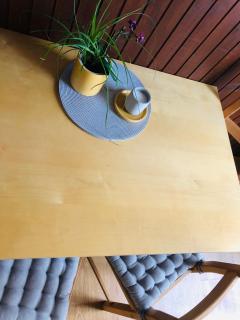 APARTMA DOMENIKA - Ptuj - 2