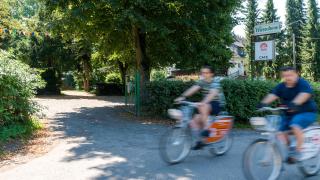 Das Wiesenhaus: Wohnen direkt am Rhein - Colonia - 8