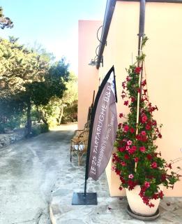 Le 25 Tartarughe - Santa Teresa di Gallura - 7