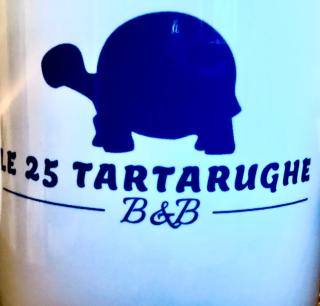 Le 25 Tartarughe - Santa Teresa di Gallura - 1