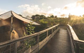 Terragora Lodges - Hébergement atypique - Les Épesses - 9
