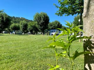 Camping Gran Sol - 2