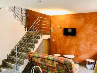 Gîte de la Grenouillette - Saint-Maurice-de-Satonnay - 2