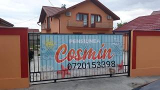 Pensiunea Cosmin - Corbu - 6