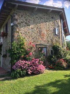 Il Mugello B&B - 1
