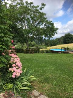 Il Mugello B&B - Vicchio - 3