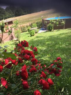 Il Mugello B&B - Vicchio - 4