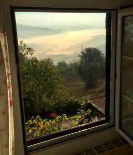 Il Mugello B&B - 6