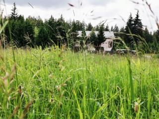 Casa de Vacanta Predeal - 8