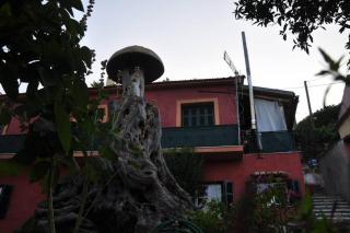 FinetsiosLenia House - Kato Pavliana - 3